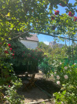 listing-small