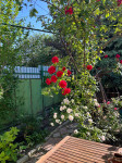 listing-small