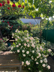 listing-small