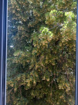 listing-small