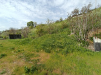 listing-small
