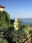 listing-small